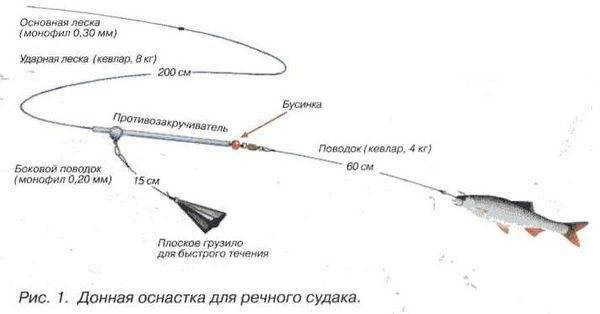 Как ловить судака на спиннинг: от простого к сложному