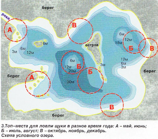 Ловля щуки в сентябре на спиннинг с берега: приманки и техника ужения
