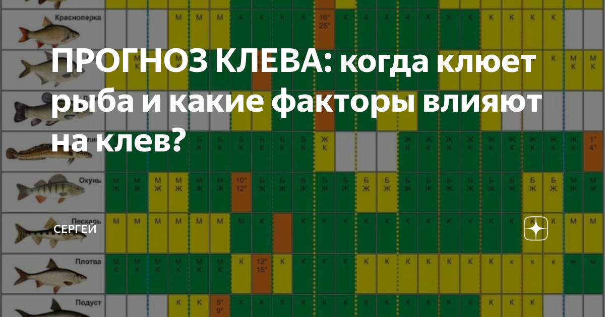 Рыбалка в тамбовской области: лучшие места на карте топ-5