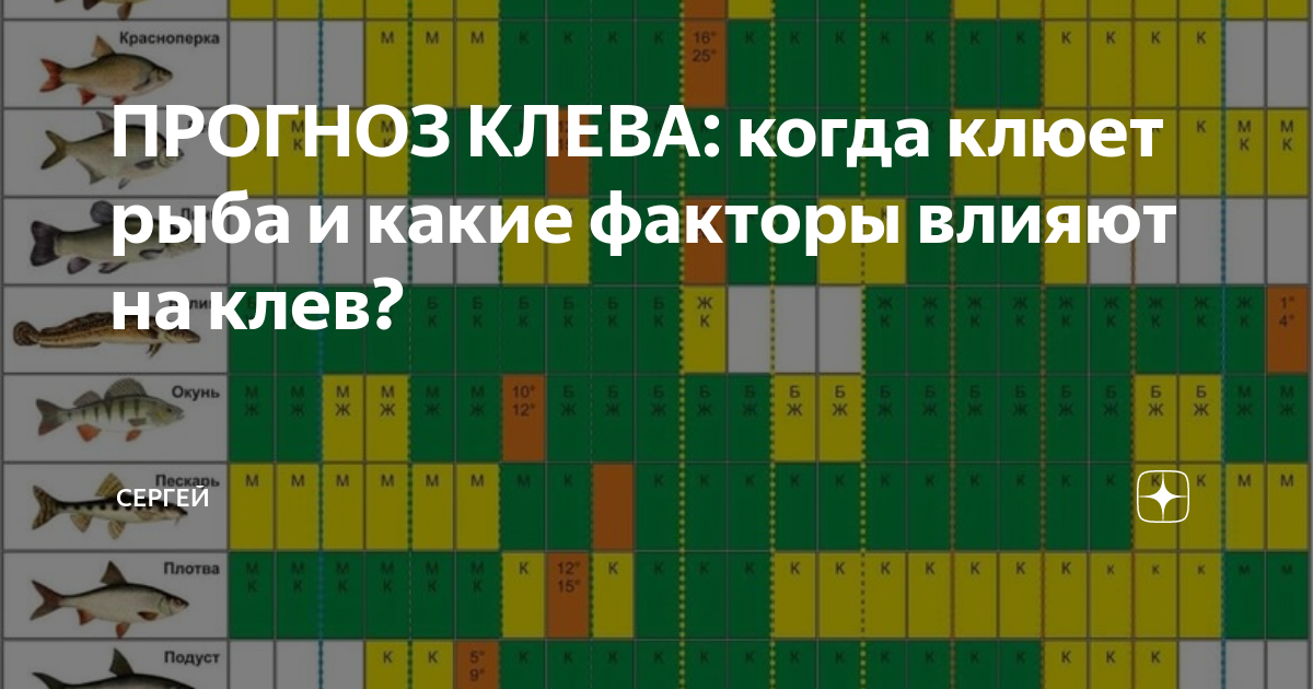 Клев курск. Календарь рыбалки. Календарь клева рыбы. Таблица клева щуки. Рыболовный календарь клёва рыбы.