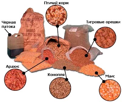 Как ловить зимнего карася на мормышку