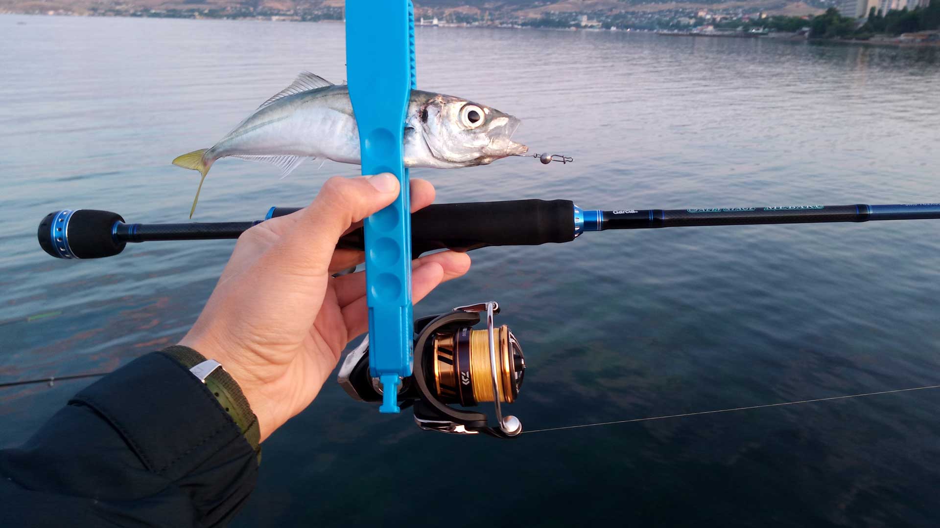 Daiwa Exeler LT 2