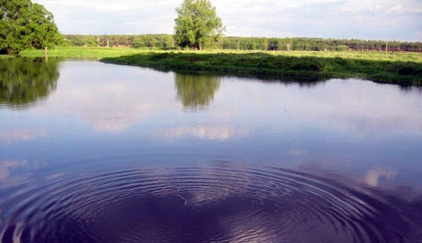 Как ловить зимнего карася на мормышку