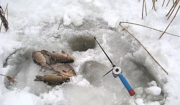Как ловить зимнего карася на мормышку