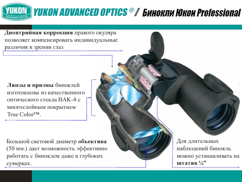 Бинокли