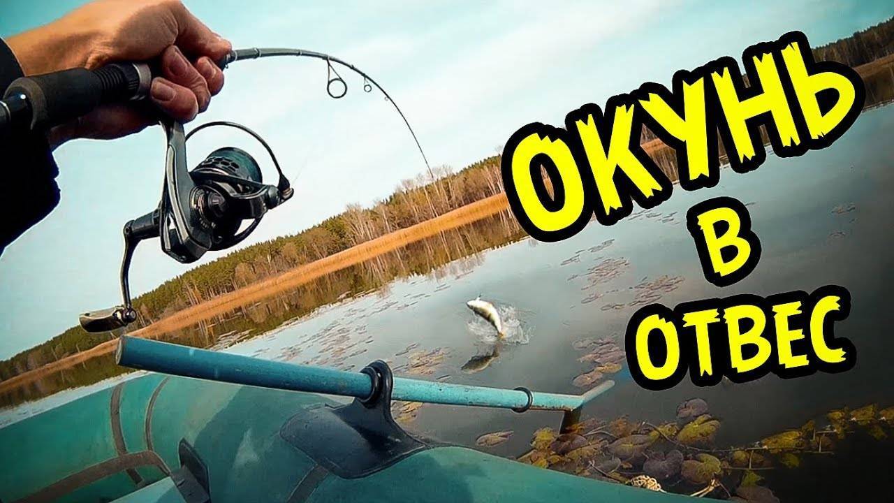 Ловля окуня на спиннинг снасти, приманки, подробный обзор
