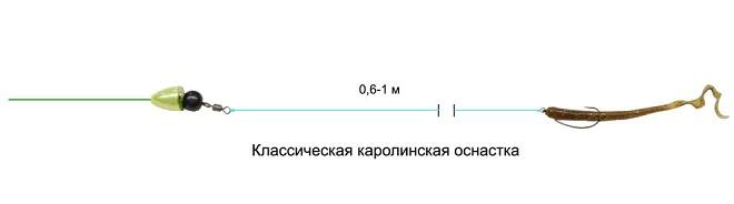 Щука