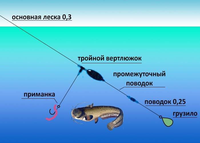 Оснастки для ловли сома с берега и с лодки: фото и видео
