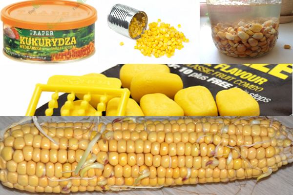 Ловля карпа на кукурузу. маленькие хитрости удачной рыбалки