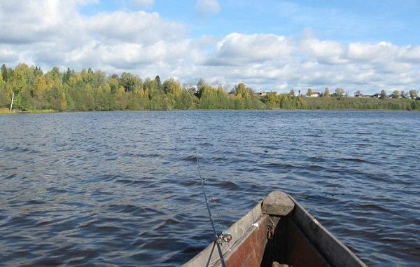 Окунь в октябре: на что ловить, где искать, советы спиннингистам