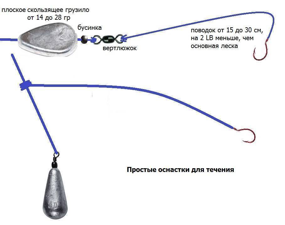 Как ловить форель на донку: ловля форели на пасту