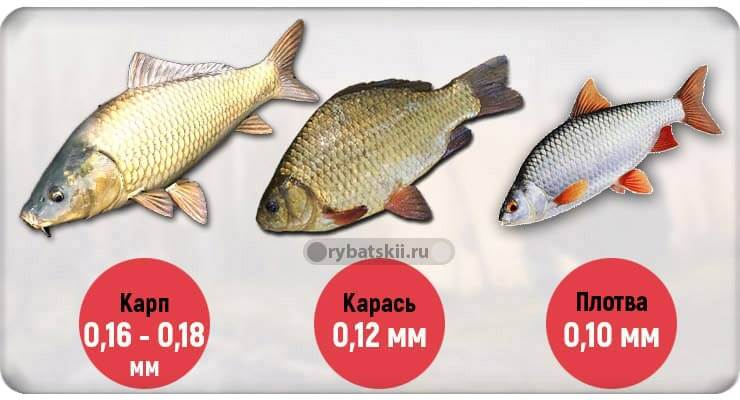 Рыболовные лески: виды, характеристики и сравнение лесок