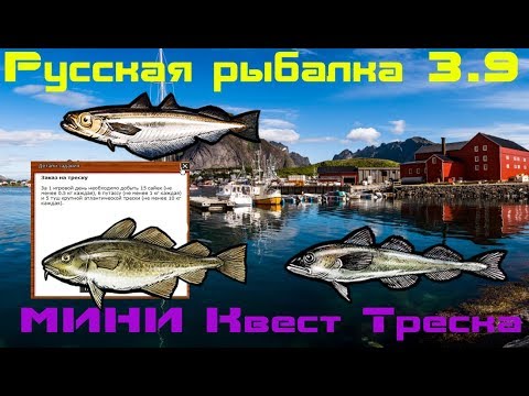Особенности норвежской рыбалки