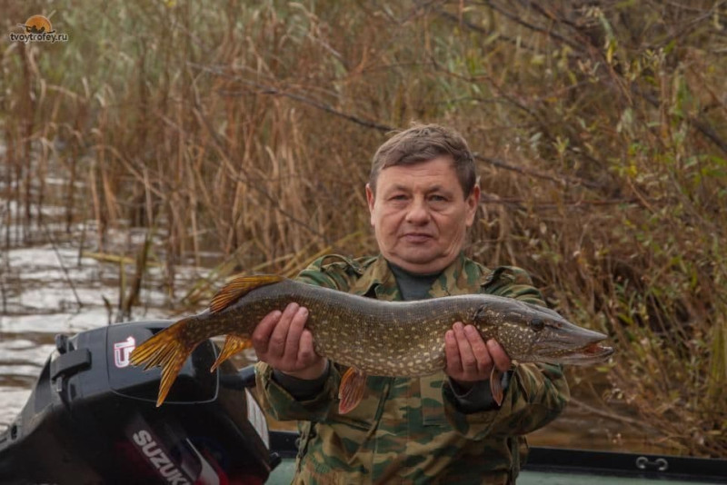 Рыбалка на озере Светлояр под Нижним Новгородом