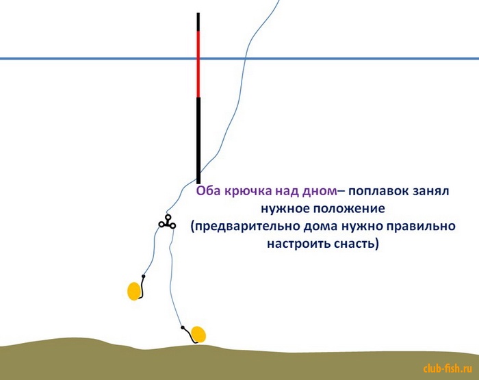 Специфика ловли карпа на поплавочную удочку