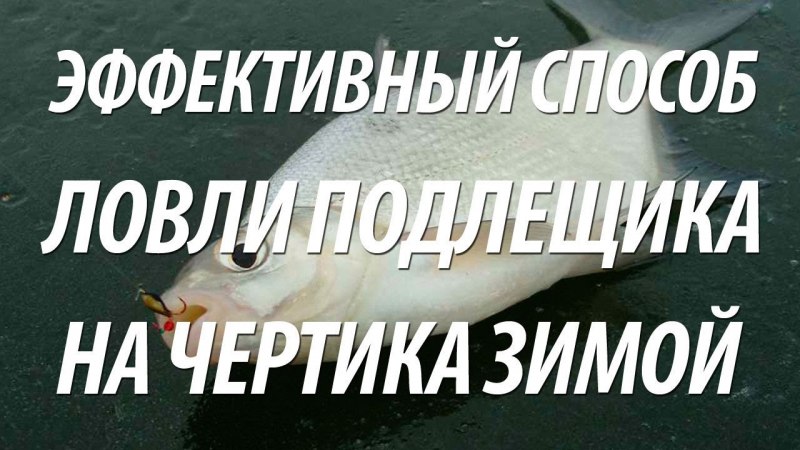 Ловля на черта — что это, особенности рыбалки, какую рыбу можно поймать