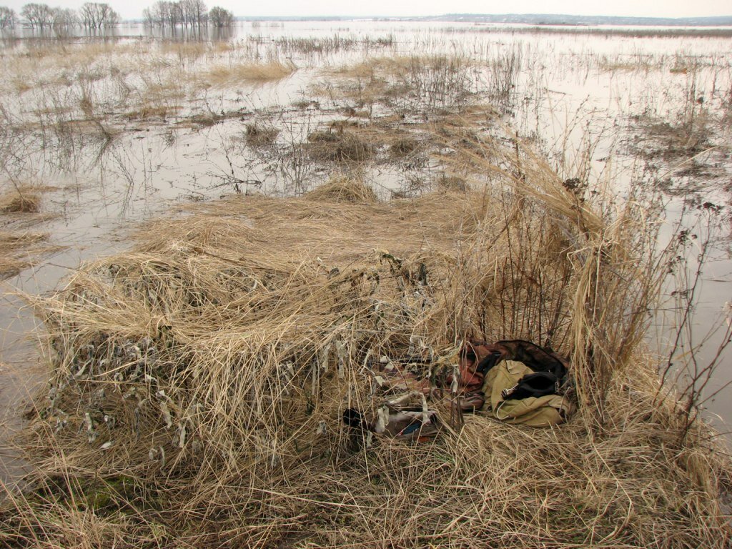 Осенняя охота на гуся: на жировке, ночевке, нагоном