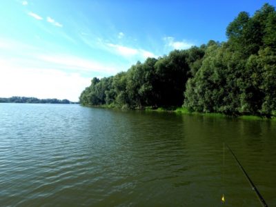 Где рыбачить в Барнауле