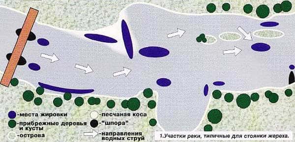 Ловля жереха на спиннинг весной: применяемые снасти и ужение на живца