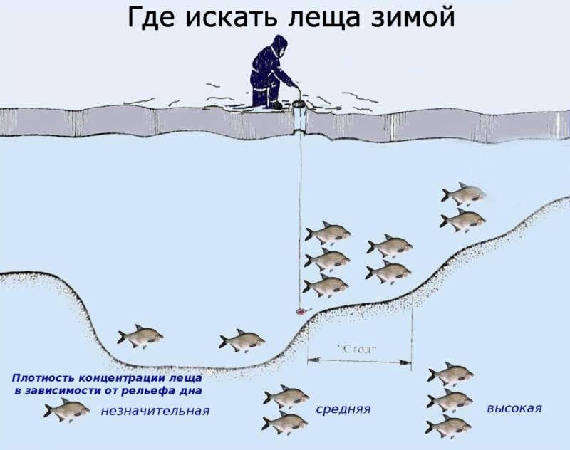 Отчет о рыбалке на леща поселок Семигорье