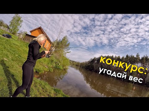 Оснастка спиннинга на щуку — как правильно собрать удилище для начинающих