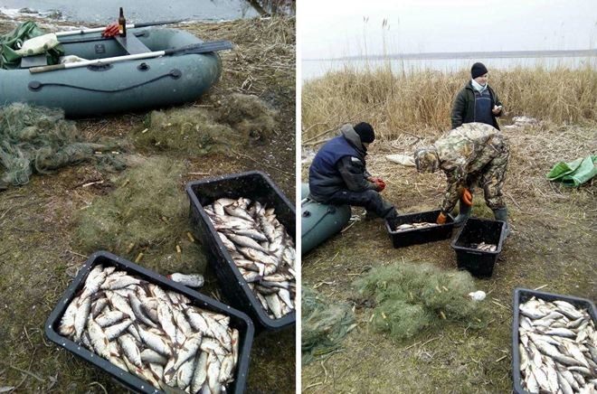 Штрафы и наказания за незаконную рыбалку в 2021 году. что делать?