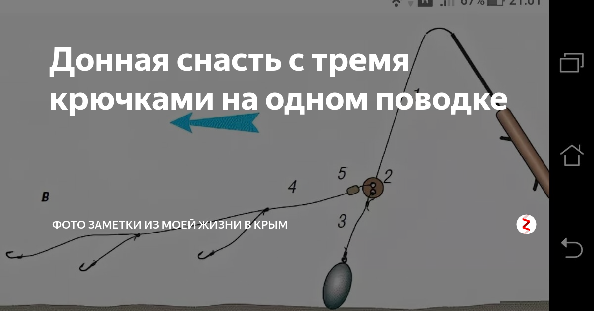 Ловля судака