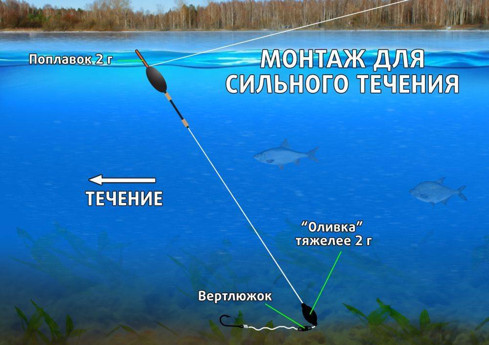 Ловля на поплавочную удочку