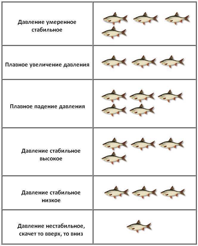 При каком давлении клюет рыба?