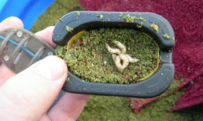 Кормушка для фидера своими руками