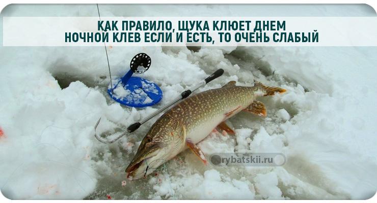 Как ловить щуку в декабре