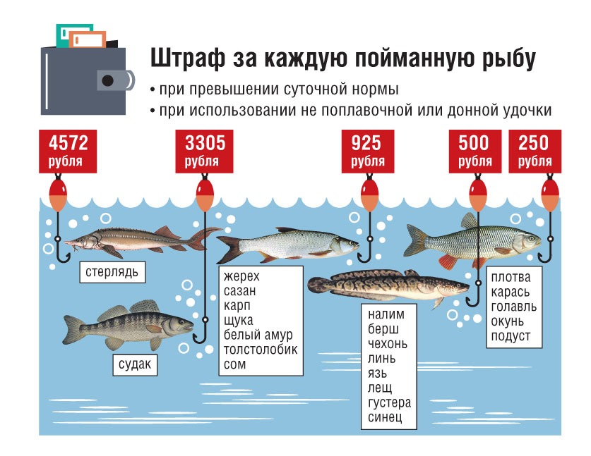Когда можно ловить на спиннинг - все про рыбалку