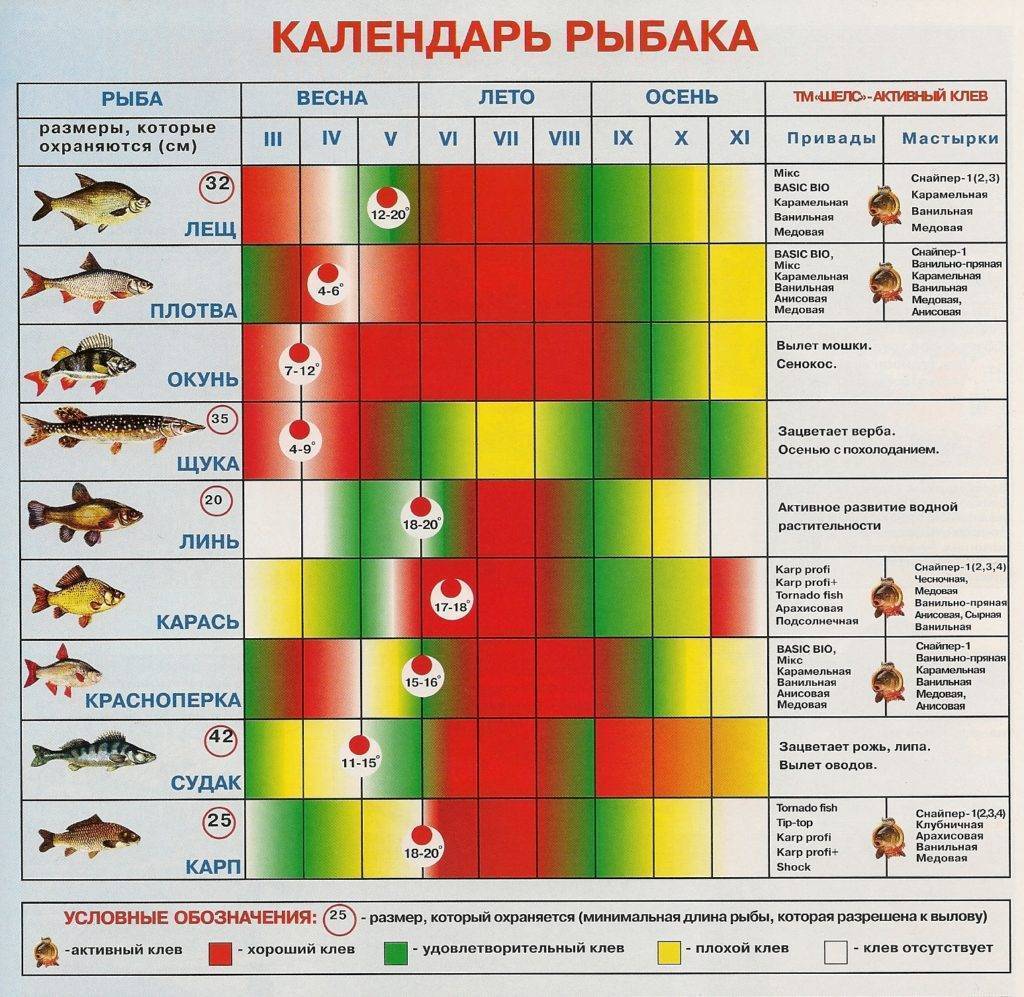 Прогноз клёва и погоды