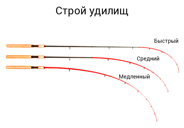 Разница между спиннингом и удочкой