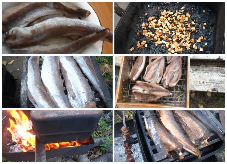 Какая рыба лучше для копчения
