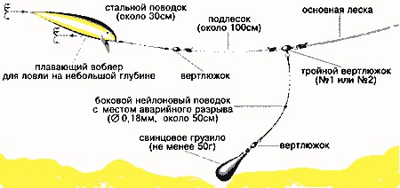 Как поймать судака на отводной поводок