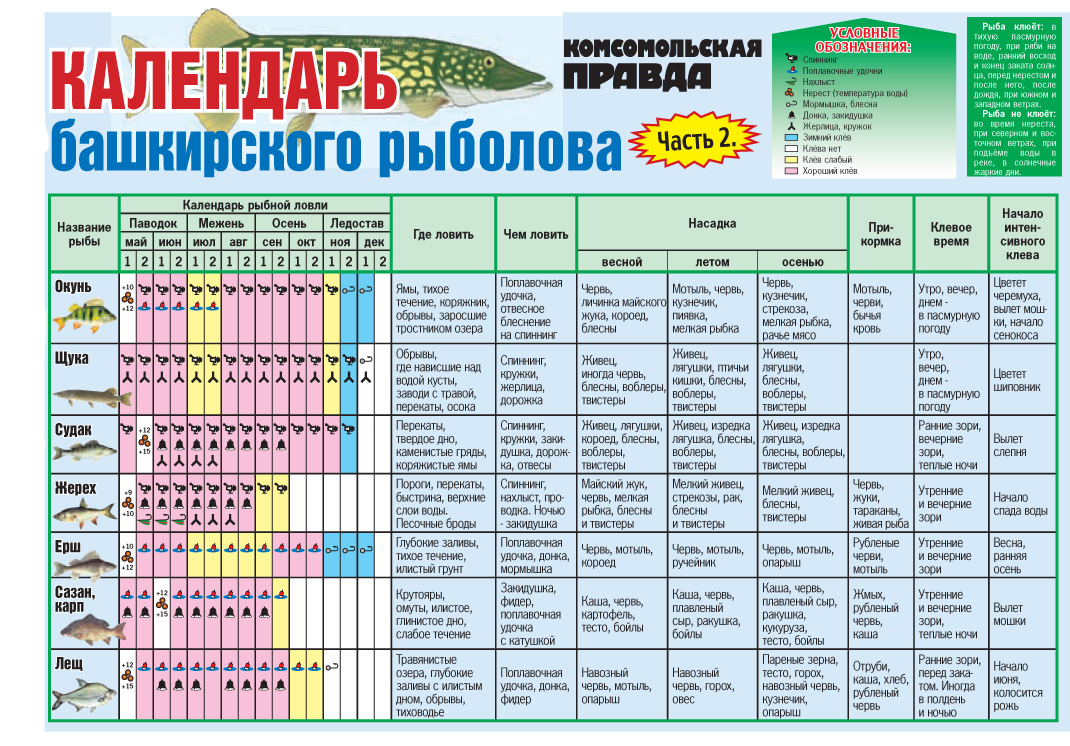 Календарь рыболова на 2022 год: по месяцам и дням, по регионам, клев рыбы по луне, подробная таблица