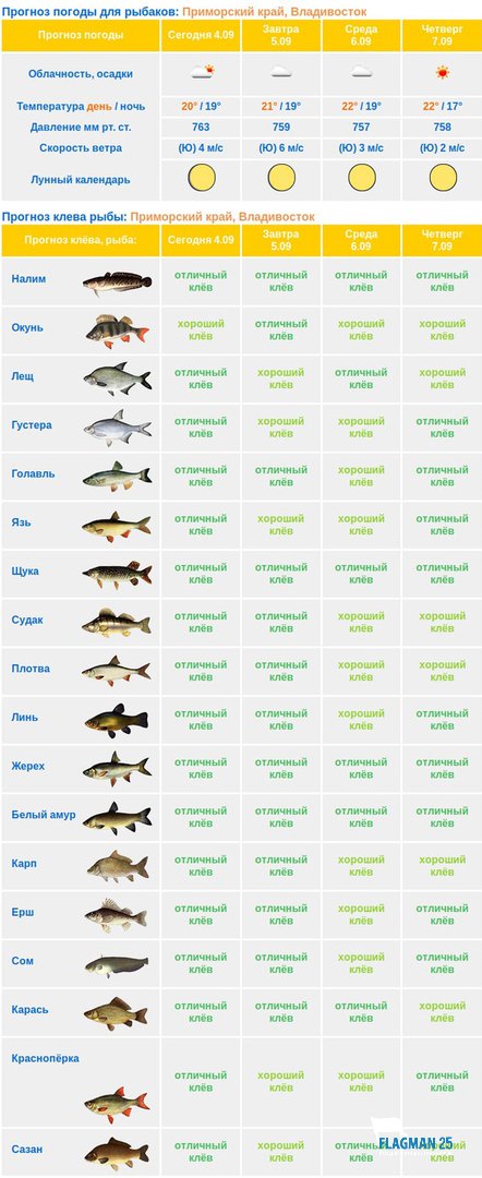 Прогноз клева в оренбургской. Календарь рыбака. Клев рыбы. График клева рыбы в Подмосковье. Календарь клева рыбы.