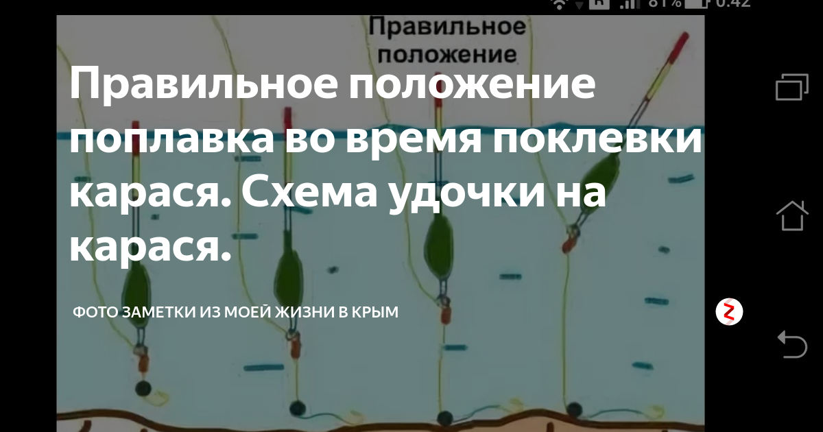 Оснастка поплавочной удочки на карася - правильный монтаж