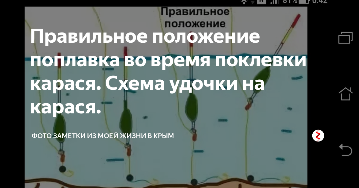 Рыбалка на карася удочкой с берега. Оснастка поплавочной удочки на карася весной. Схема оснастки поплавочной удочки на карася. Снасть на карася поплавочной удочкой. Схема поплавочной удочки со скользящим поплавком.