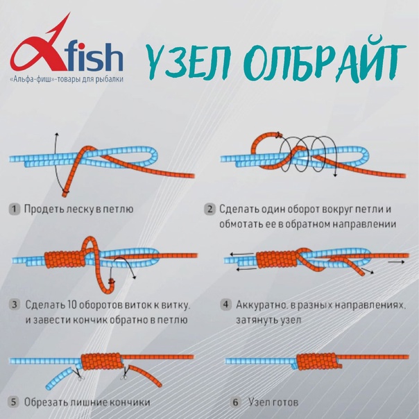 Рыболовный узел олбрайт