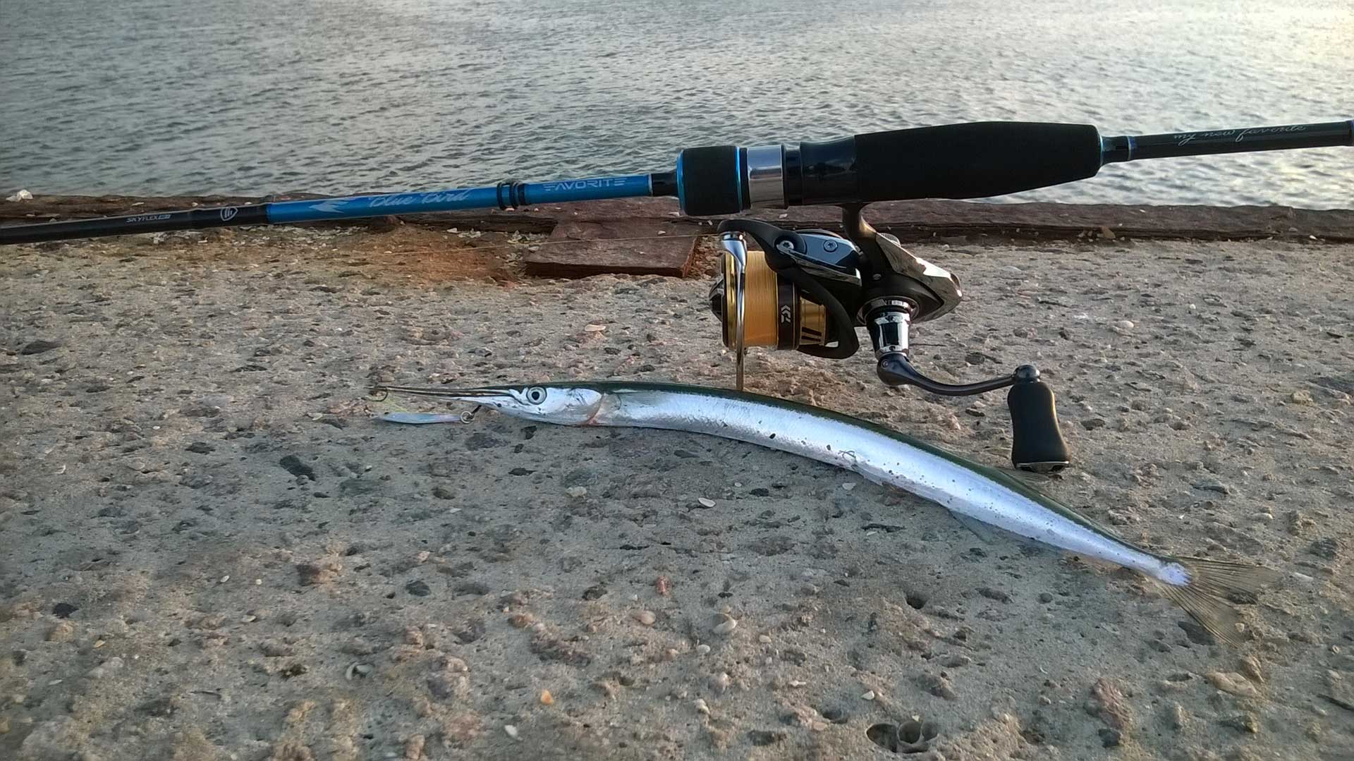 Daiwa Exeler LT 2