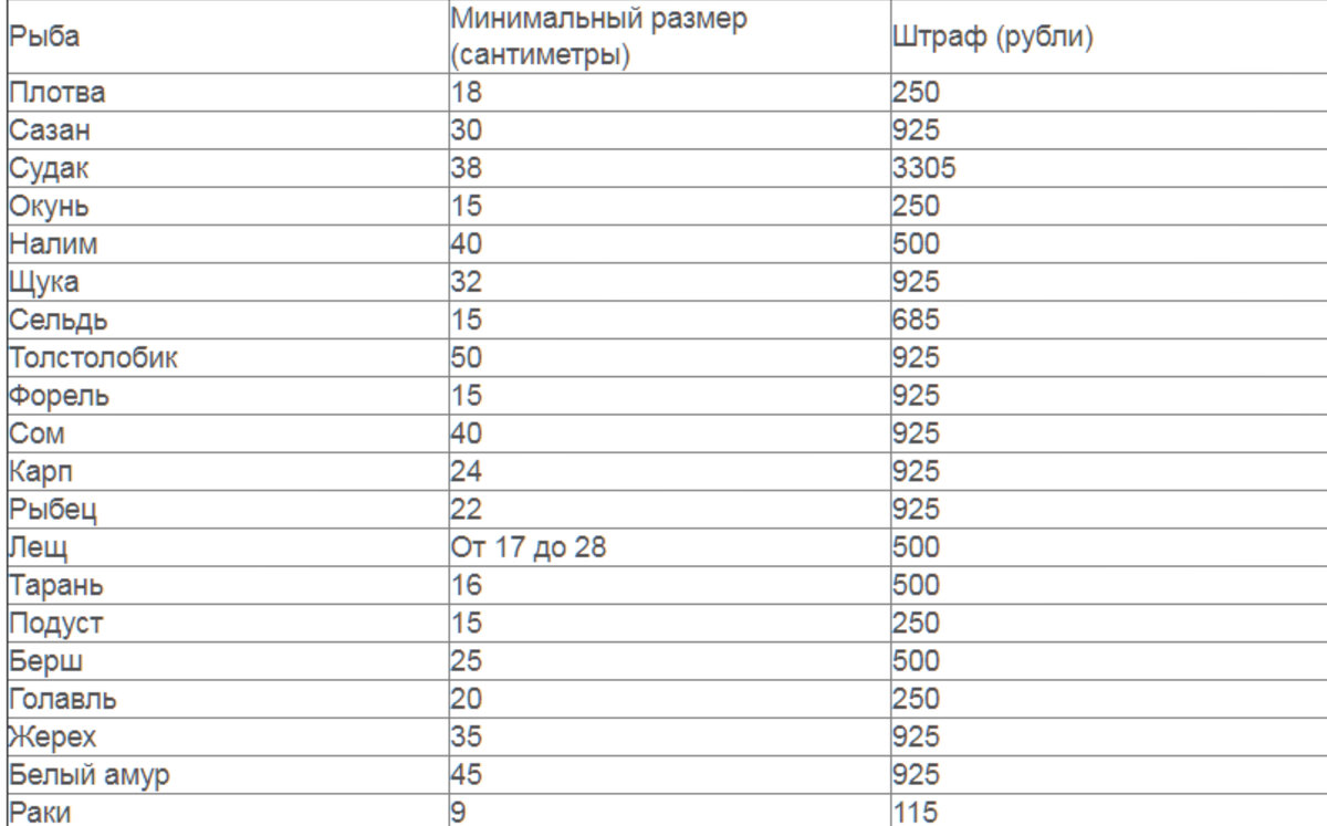 Таблица лова. Таблица размера разрешенной рыбы. Размер ловли рыбы таблица. Таблица размеров рыбы разрешённых к вылову. Таблица размер рыбы для вылова.