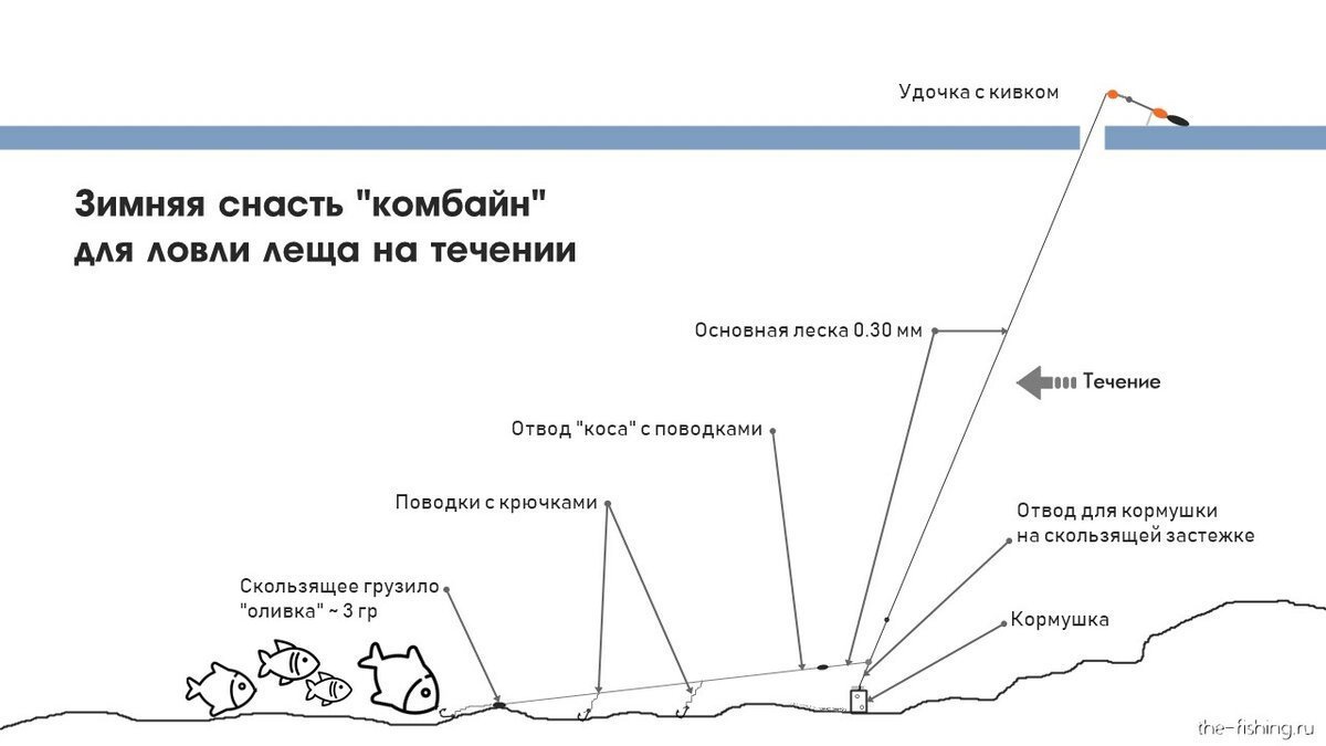 На что ловить леща - зимой, весной и летом, снасти и наживки